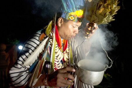 impact conscience psychedelique ayahuasca revele par imagerie cerebrale couv
