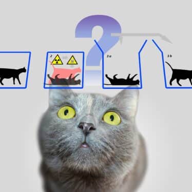 start up française qubits de chats ordinateur quantique corriger erreurs