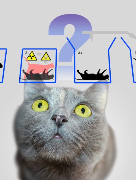 start up française qubits de chats ordinateur quantique corriger erreurs