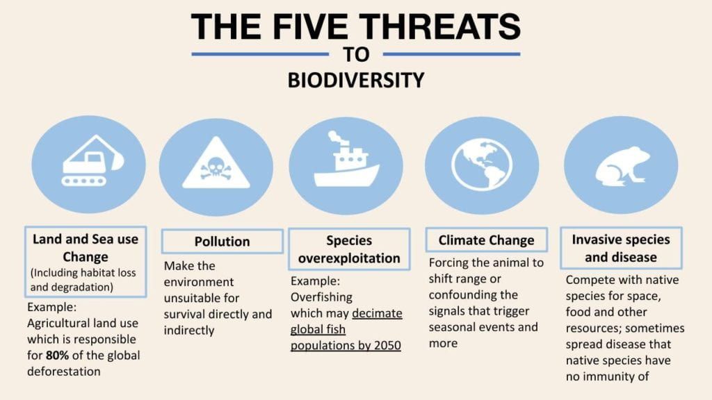 5 principali minacce alla biodiversità