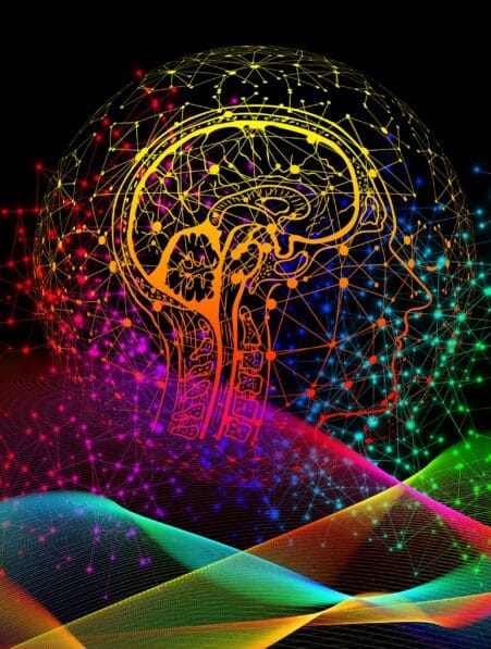 connexion corps esprit cerveau