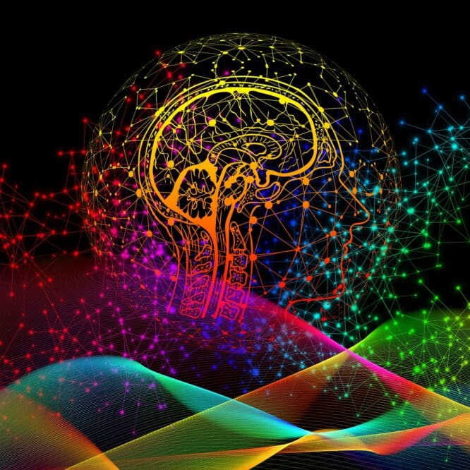 connexion corps esprit cerveau