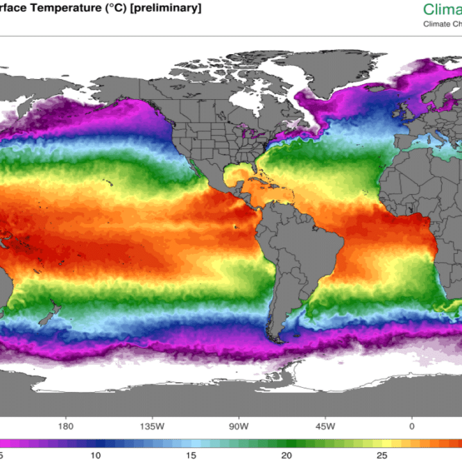 hausses temperature oceanique extreme