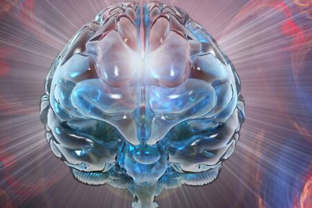 hasard chance mutation evolution cerveau humain couv