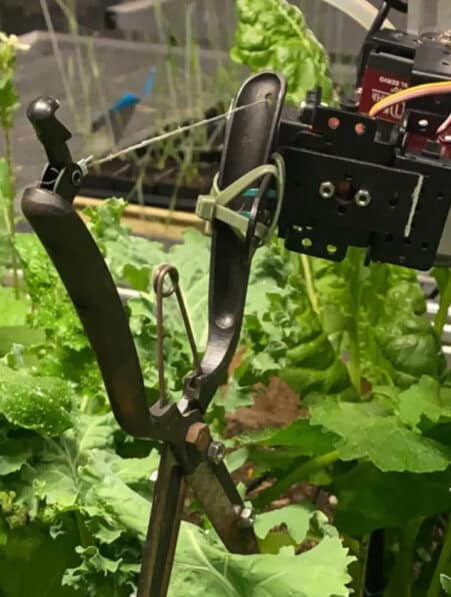 robot jardinier IA alphagarden