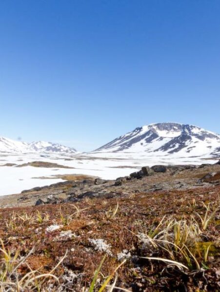 groenland passe vert fonte glace inexorable futur