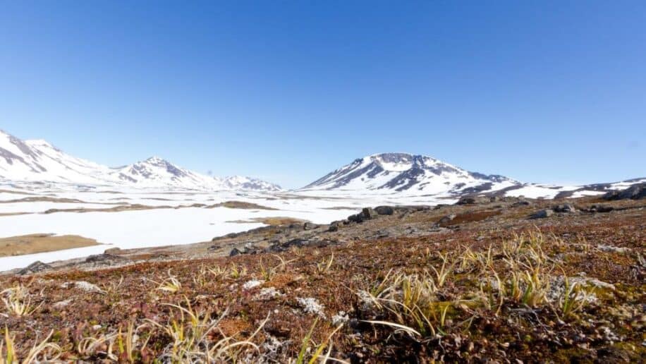 groenland passe vert fonte glace inexorable futur