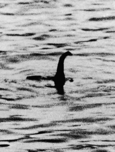 nessie loch ness mystere anguille geante couv