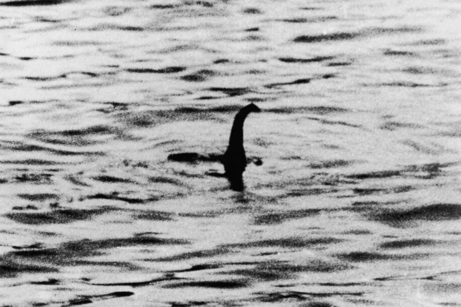 nessie loch ness mystere anguille geante couv