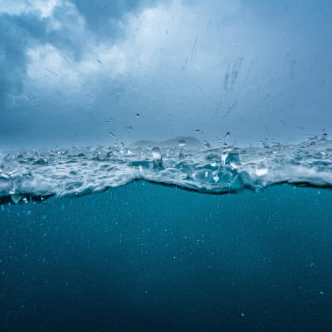 ocean courant effondrement amoc climat changement couv