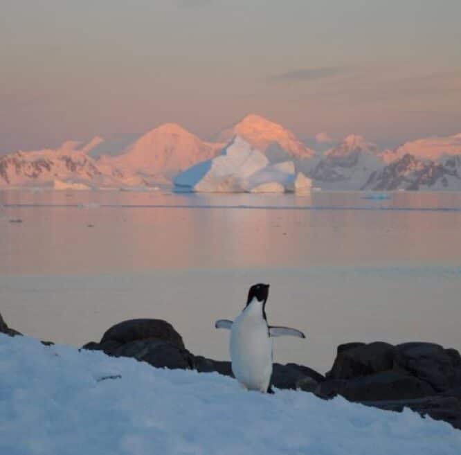 antarctique record temperature glace rechauffement climatique couv
