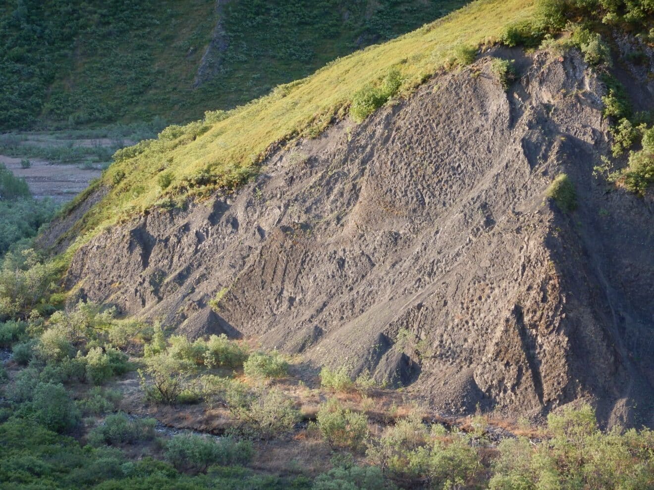 empreintes dinosaures qualite colisee alaska cretace superieur couv