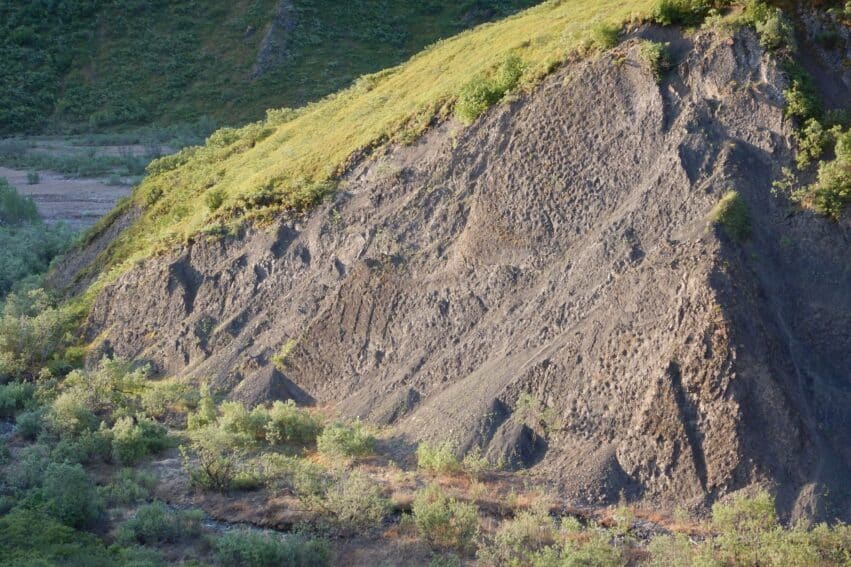 empreintes dinosaures qualite colisee alaska cretace superieur couv