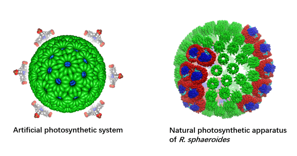 photosynthese artificielle