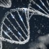 scientifiques creent base donnees dediee genes meconnus couv