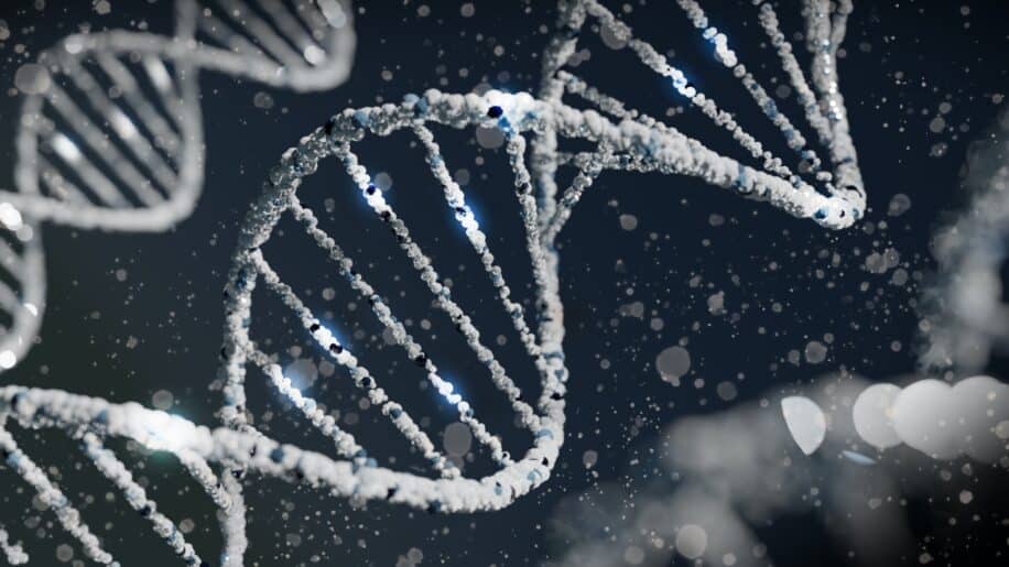 scientifiques creent base donnees dediee genes meconnus couv