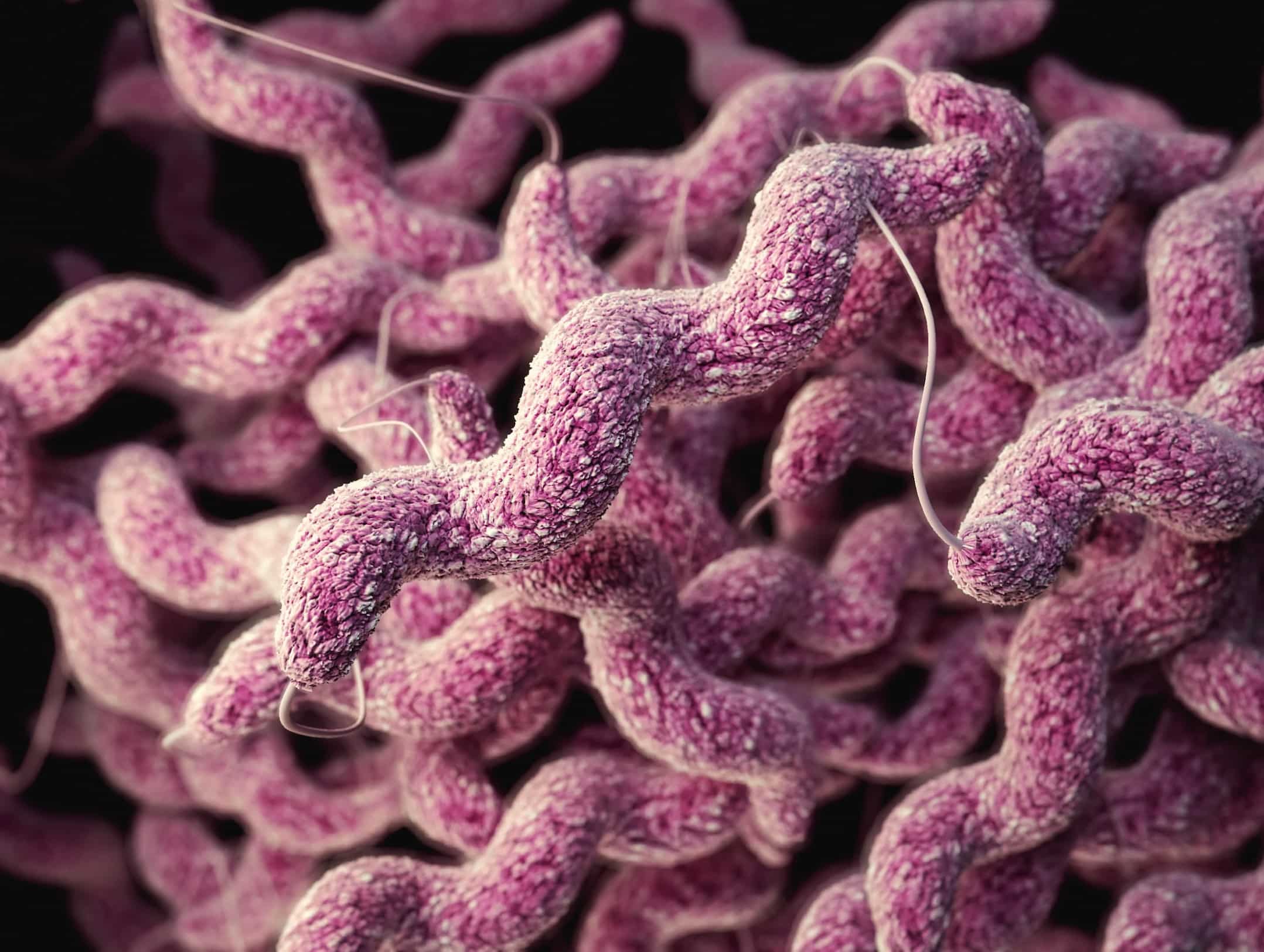 microbes intestinaux