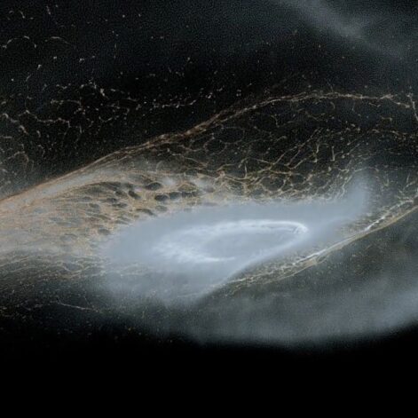 naissance anneaux saturne collision entre lunes couv