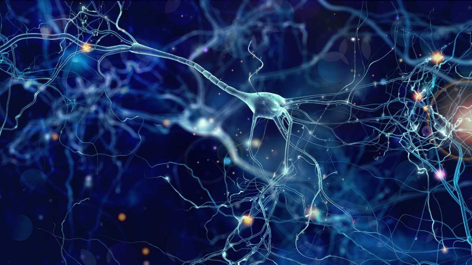 De ontdekking van een nieuw celtype schudt de neurowetenschap wakker
