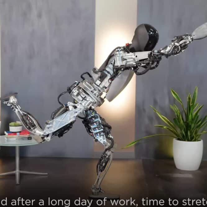 robot humanoide tesla