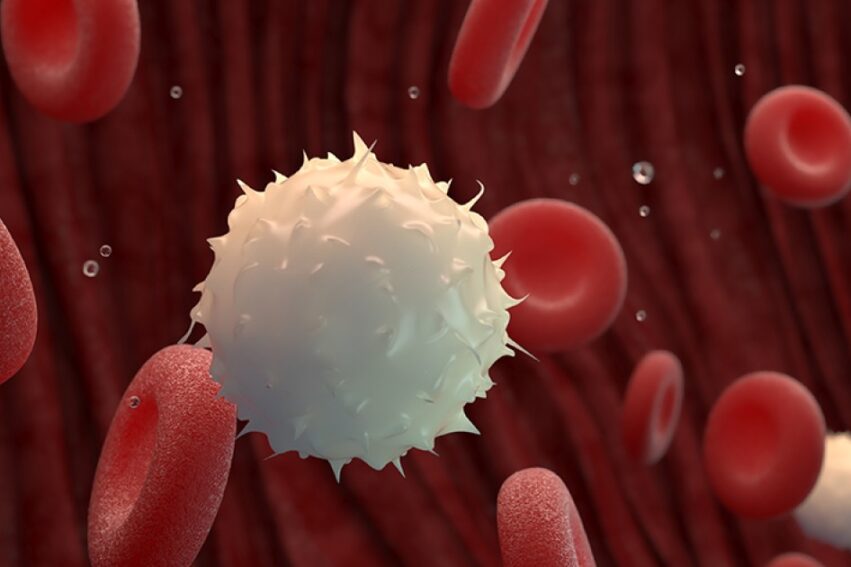 vaccin inverse maladie auto immune traitement couv