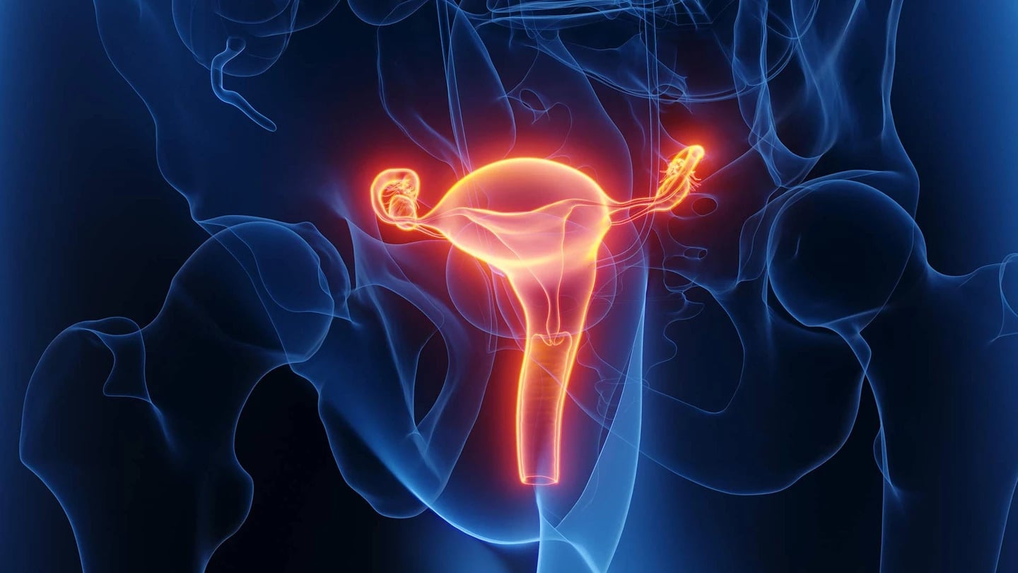 the-impact-of-menstrual-cycle-hormone-fluctuations-on-brain-structure