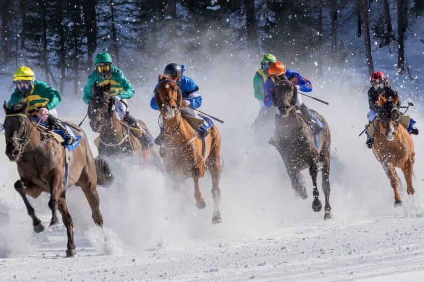 chevaux course savent