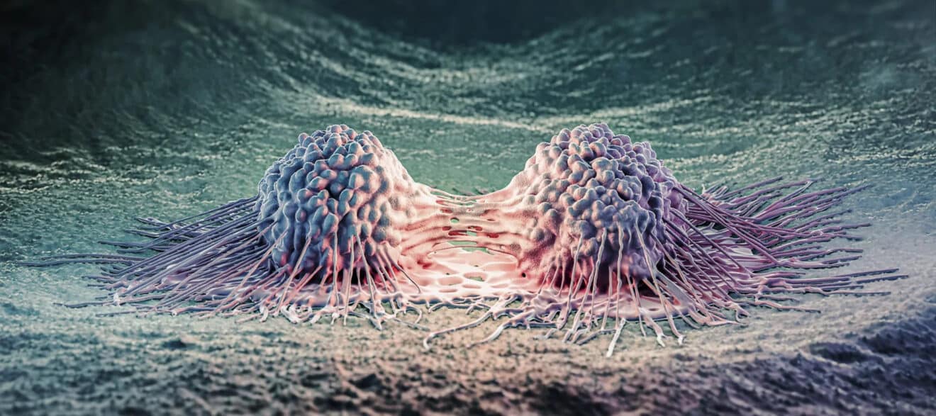 interrupteur cellules cancereuses