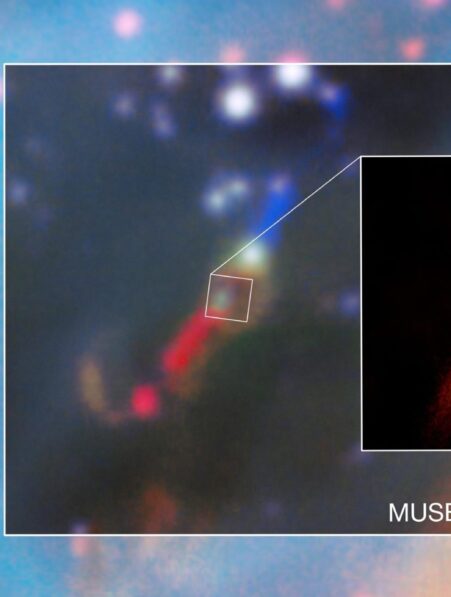 detection premier disque protoplanetaire extragalactique magellan alma couv