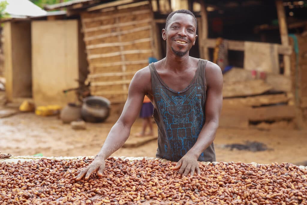 producteur cacao