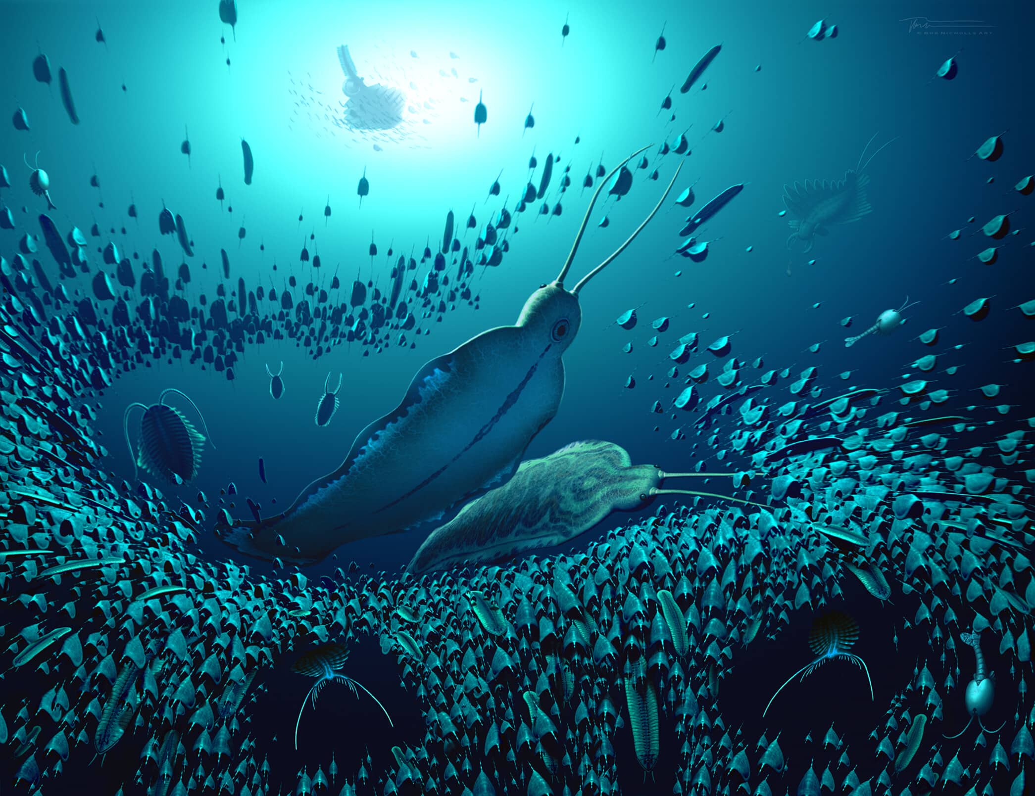 discovery-of-giant-carnivorous-worms-that-lived-more-than-half-a