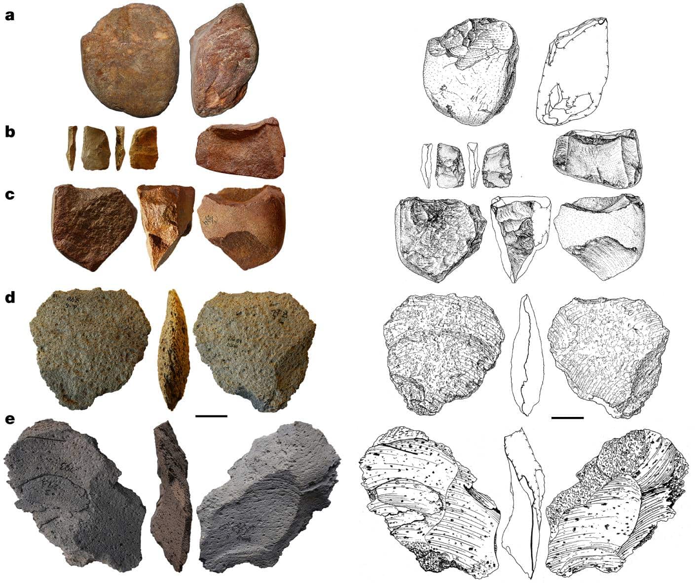 Une sélection d'outils en pierre de Korolevo (Garba et al Nature 2024)