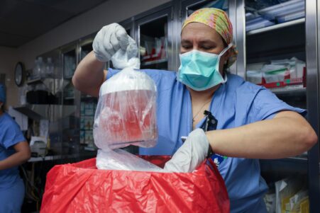 pour premiere fois rein porc transplante patient humain vivant couv