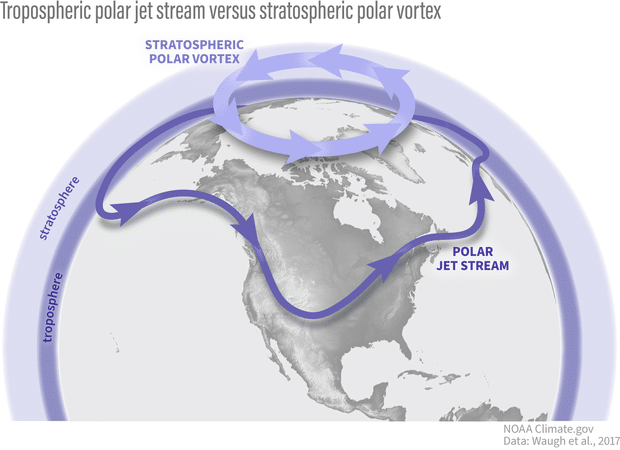 vortex polaire arctique