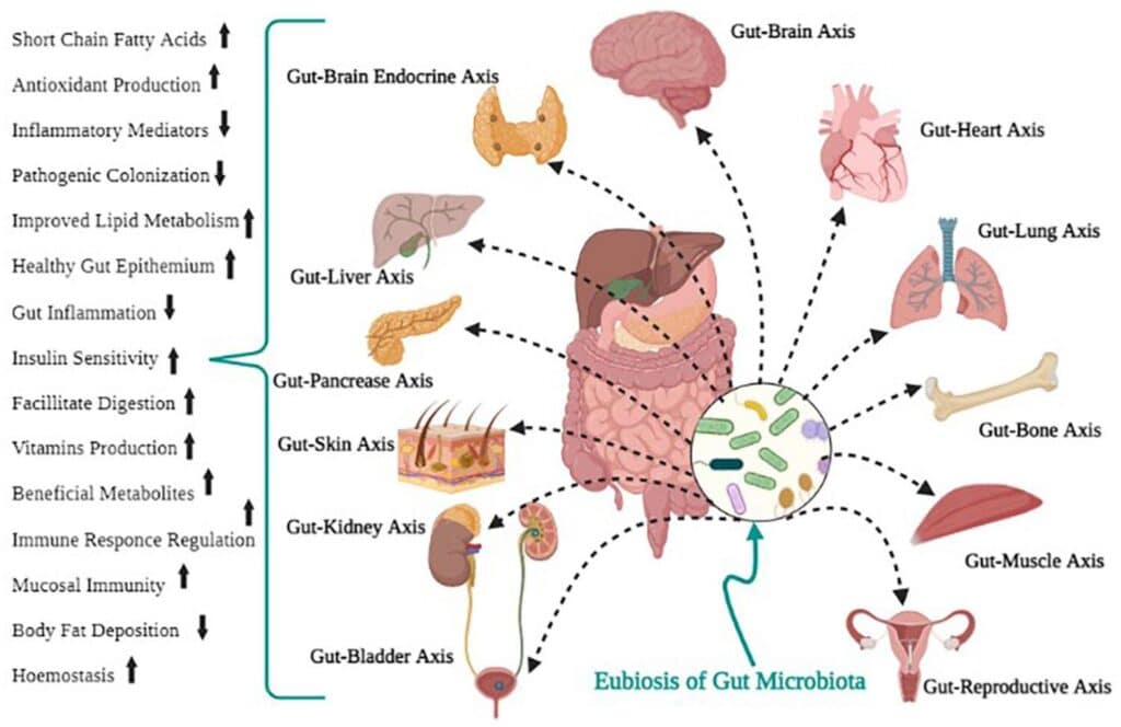 abiose intestinal