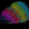 google cartographie cerveau couv