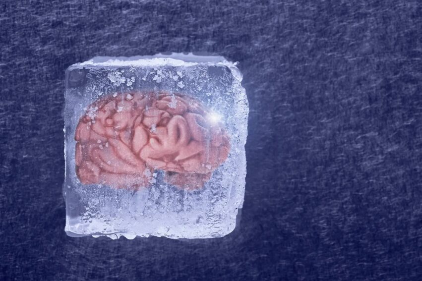 tissus cerebraux fonctionne cryogenisation