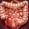 Des scientifiques découvrent la cause majeure de la maladie inflammatoire de l intestin couv