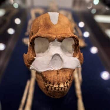 Le plus ancien lieu de sépulture connu au monde n a pas été créé par des humains selon les chercheurs