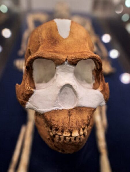 Le plus ancien lieu de sépulture connu au monde n a pas été créé par des humains selon les chercheurs