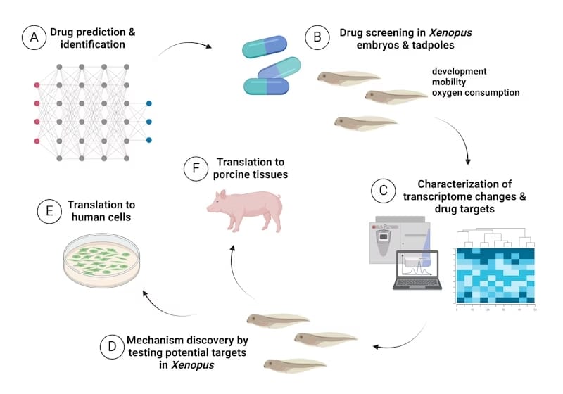 Biostasis Methods