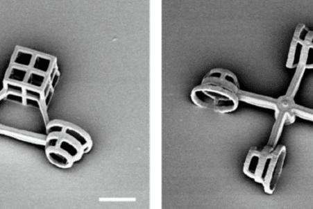 Des chercheurs ont concu des véhicules microscopiques propulsés par des algues unicellulaires