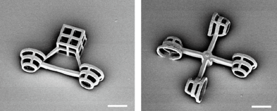 Des chercheurs ont concu des véhicules microscopiques propulsés par des algues unicellulaires