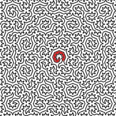 Les physiciens ont conçu le labyrinthe le plus complexe au monde