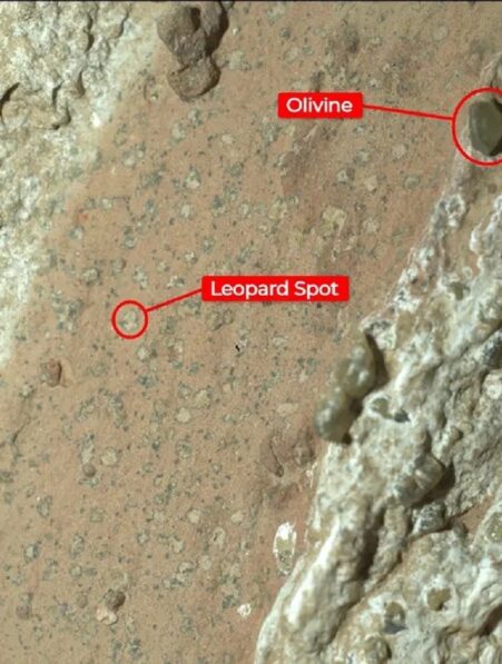 Un rover de la NASA découvre une roche ancienne sur Mars avec une biosignature potentielle