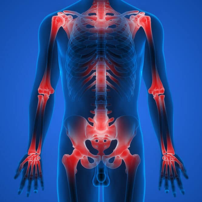 molecule dansantes cartilage