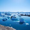 Découverte des fossiles trouvés sur le Groenland témoignent de son passé dénué de glace