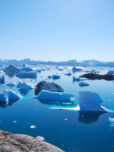 Découverte des fossiles trouvés sur le Groenland témoignent de son passé dénué de glace