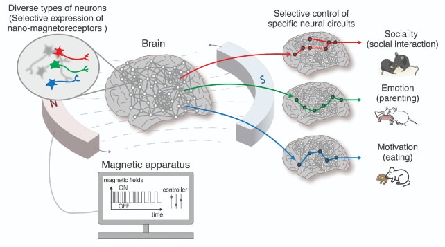 Nano MIND