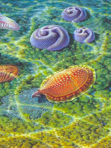 vie complexe terre couv